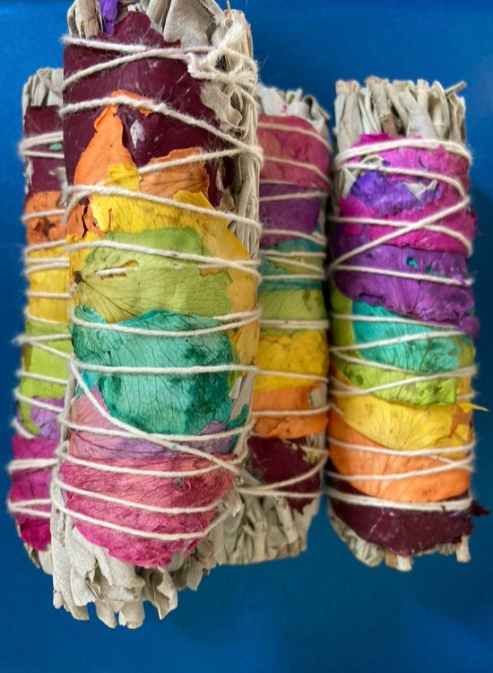 Rainbow Rose Sage