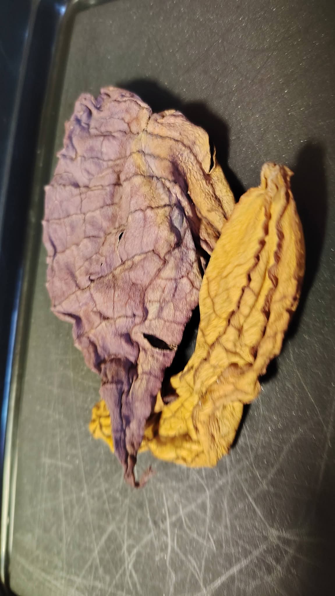 Jamaican Duck Flower