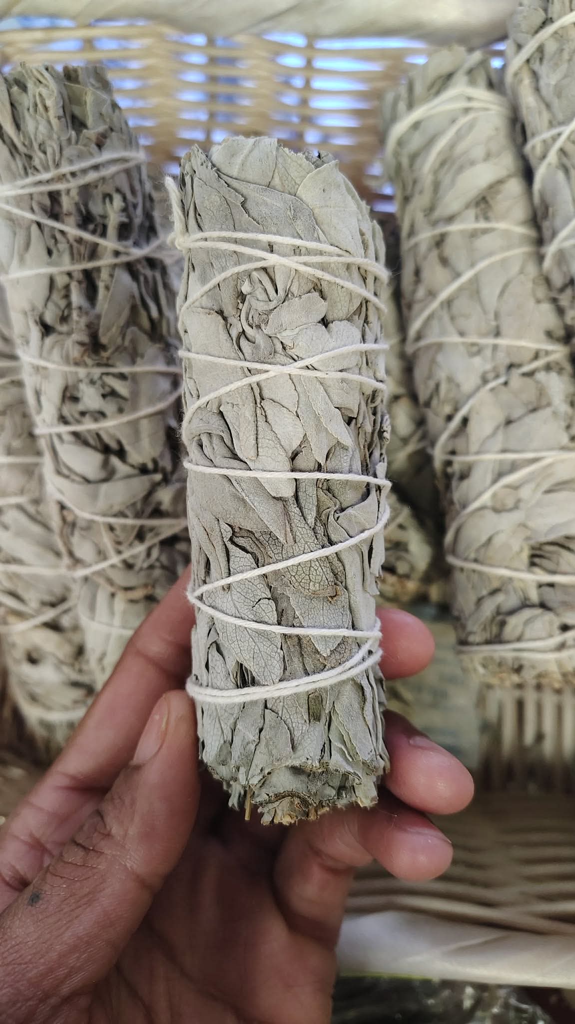 White Sage