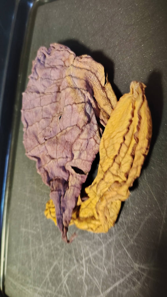 Jamaican Duck Flower